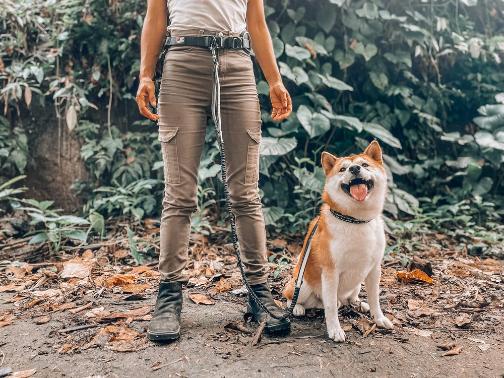 Tuff Pupper dog being walked or jogged with hands-free leash