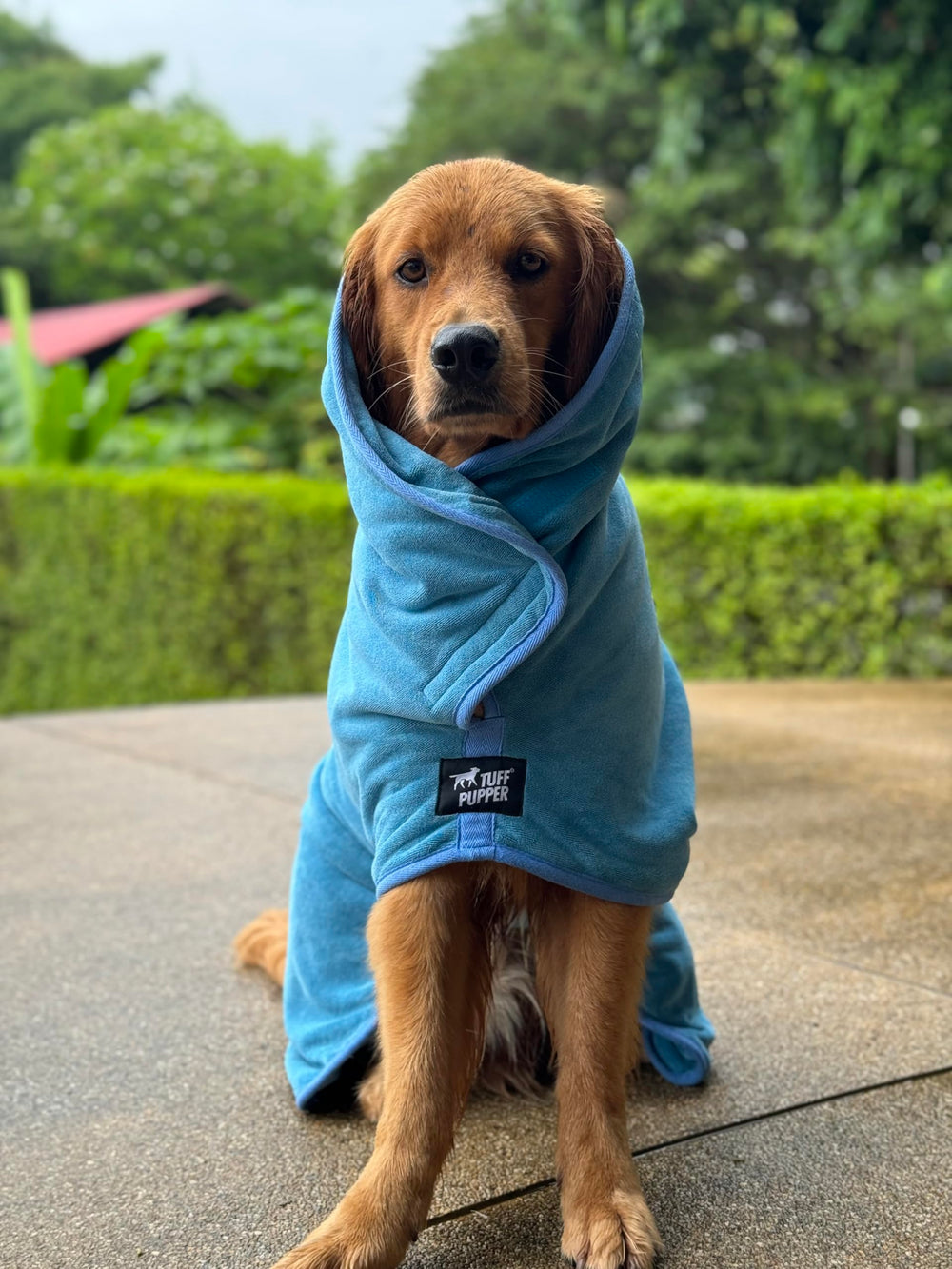 Tuff Pupper plush 800gsm fabric offers cozy post-bath comfort.