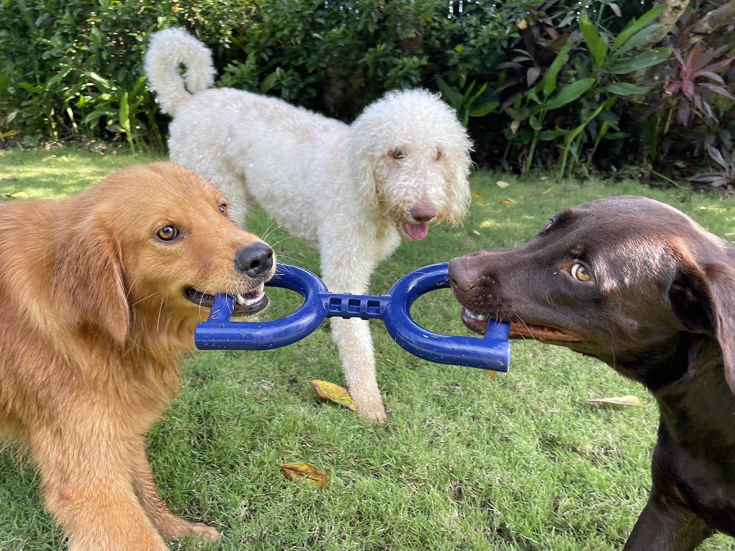 Tuff Pupper durable rubber toy withstands strong pulls for medium and large breeds