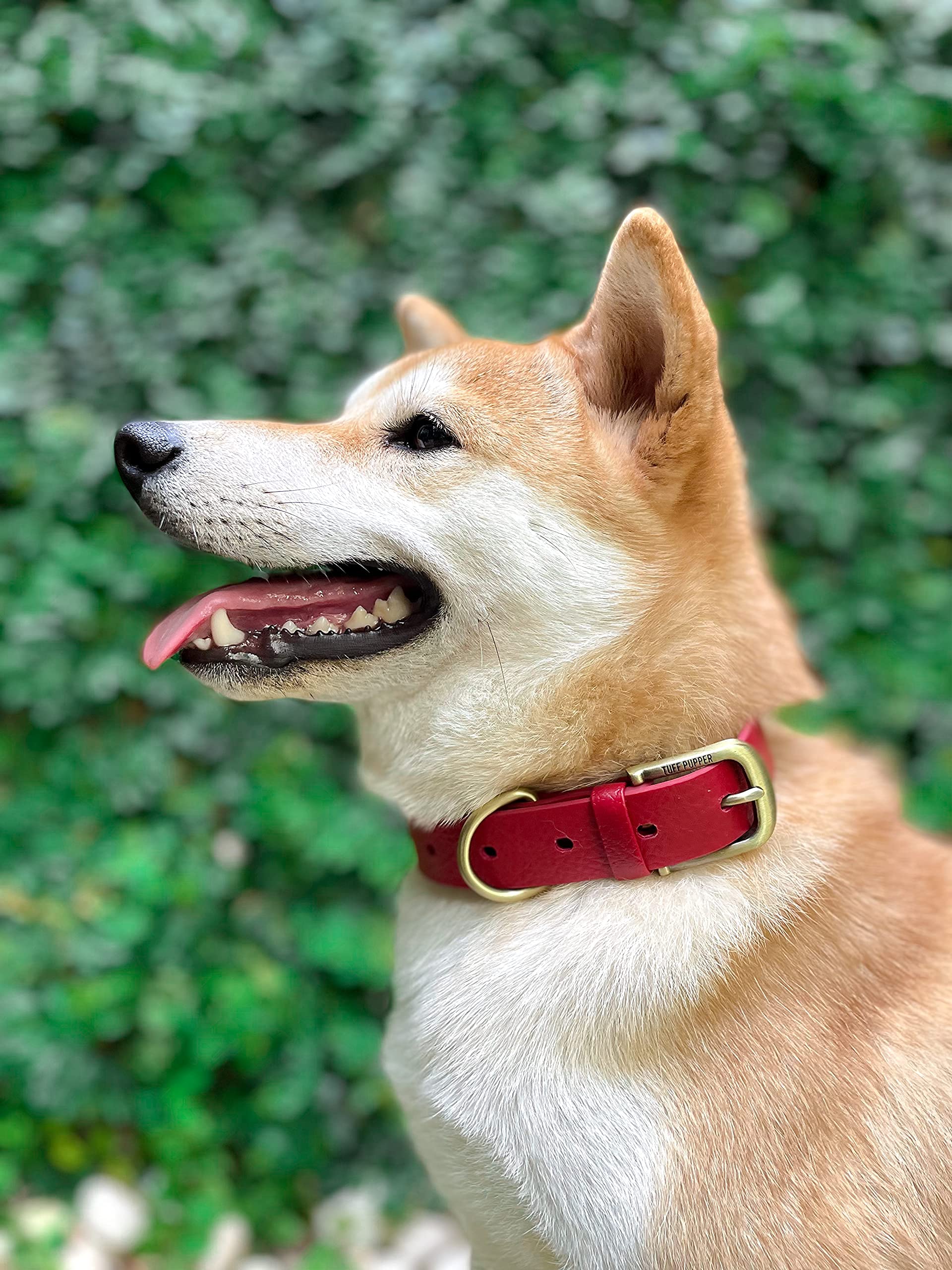 Tuff Pupper easy-clean collar resists dirt and odors.