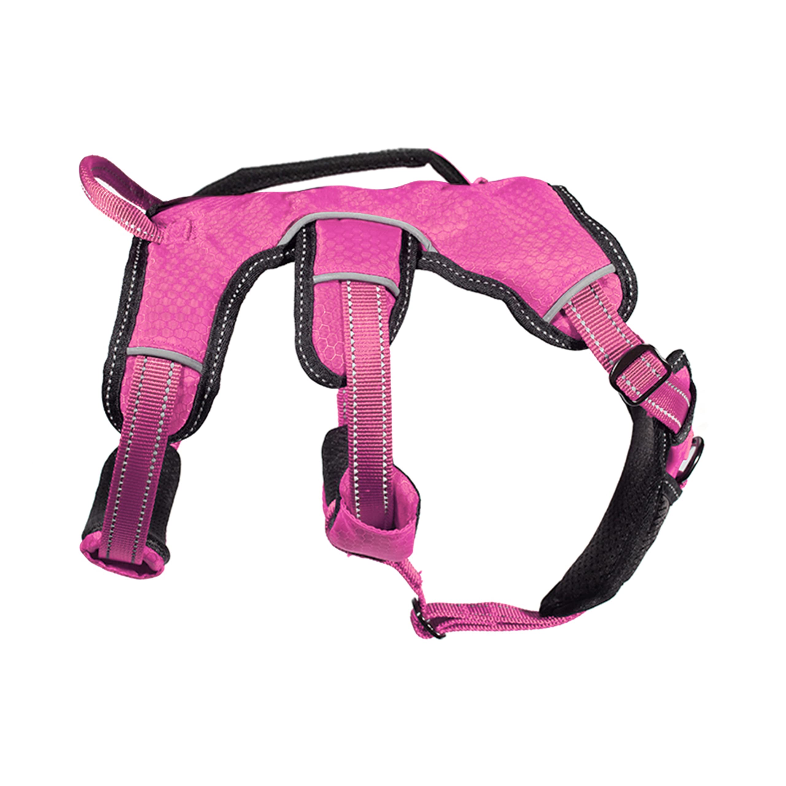 Tuff Pupper ideal for walks in crowds and during training.