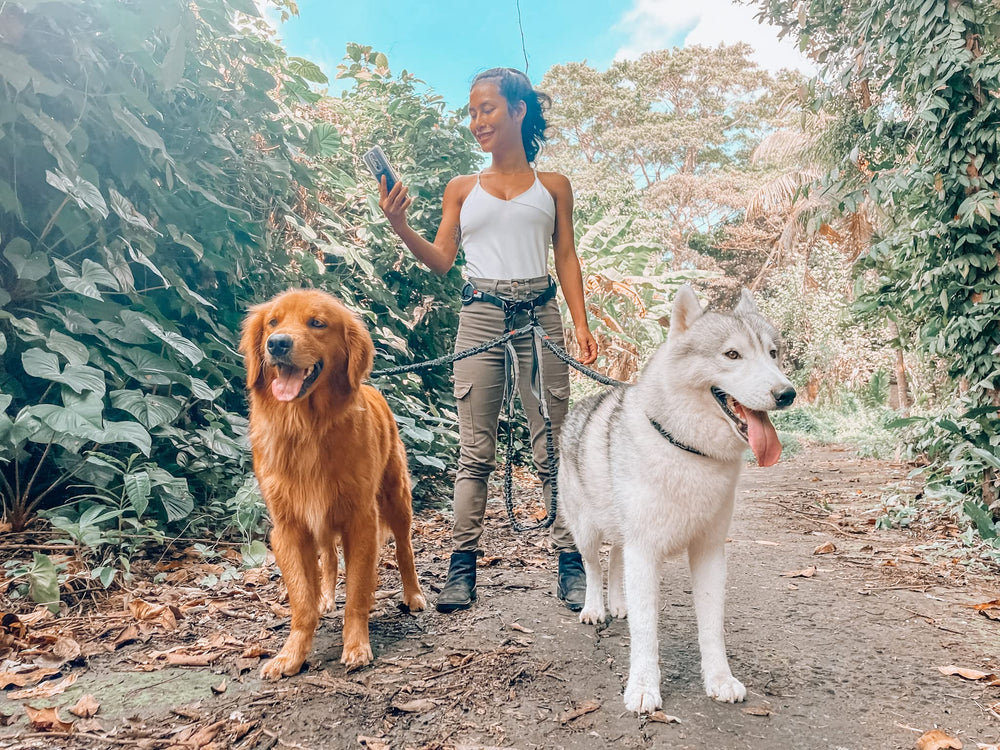 Tuff Pupper extendable leash allows adding more dogs for hands-free walks.