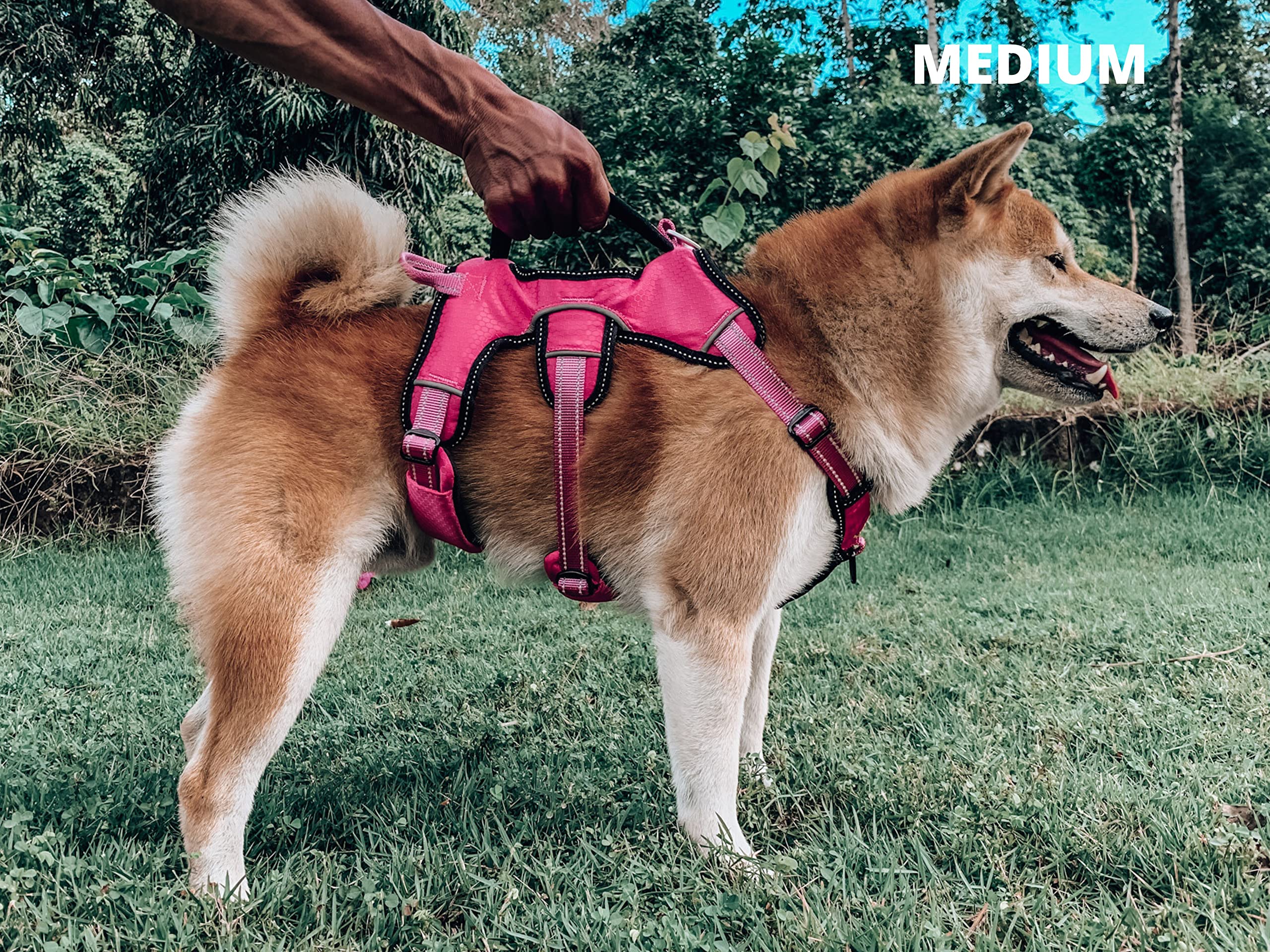 Tuff Pupper extra abdomen strap improves full-body support.