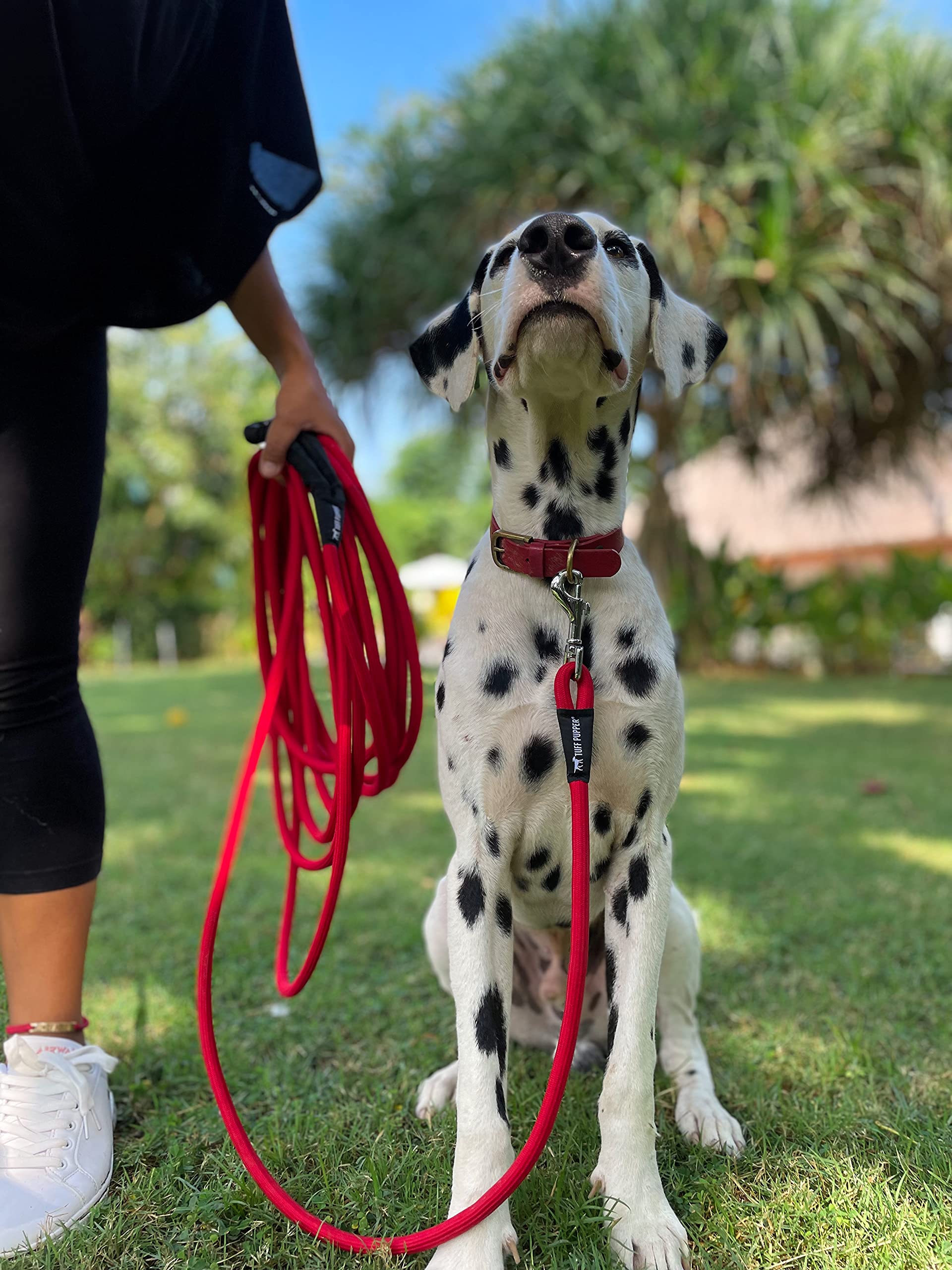 Tuff Pupper flexible climbing rope material for versatile training