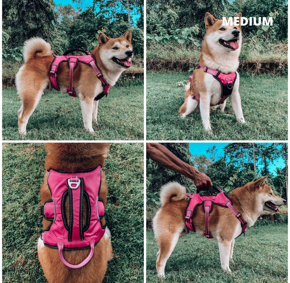 Tuff Pupper lift handle allows safe lifting and movement of your dog.