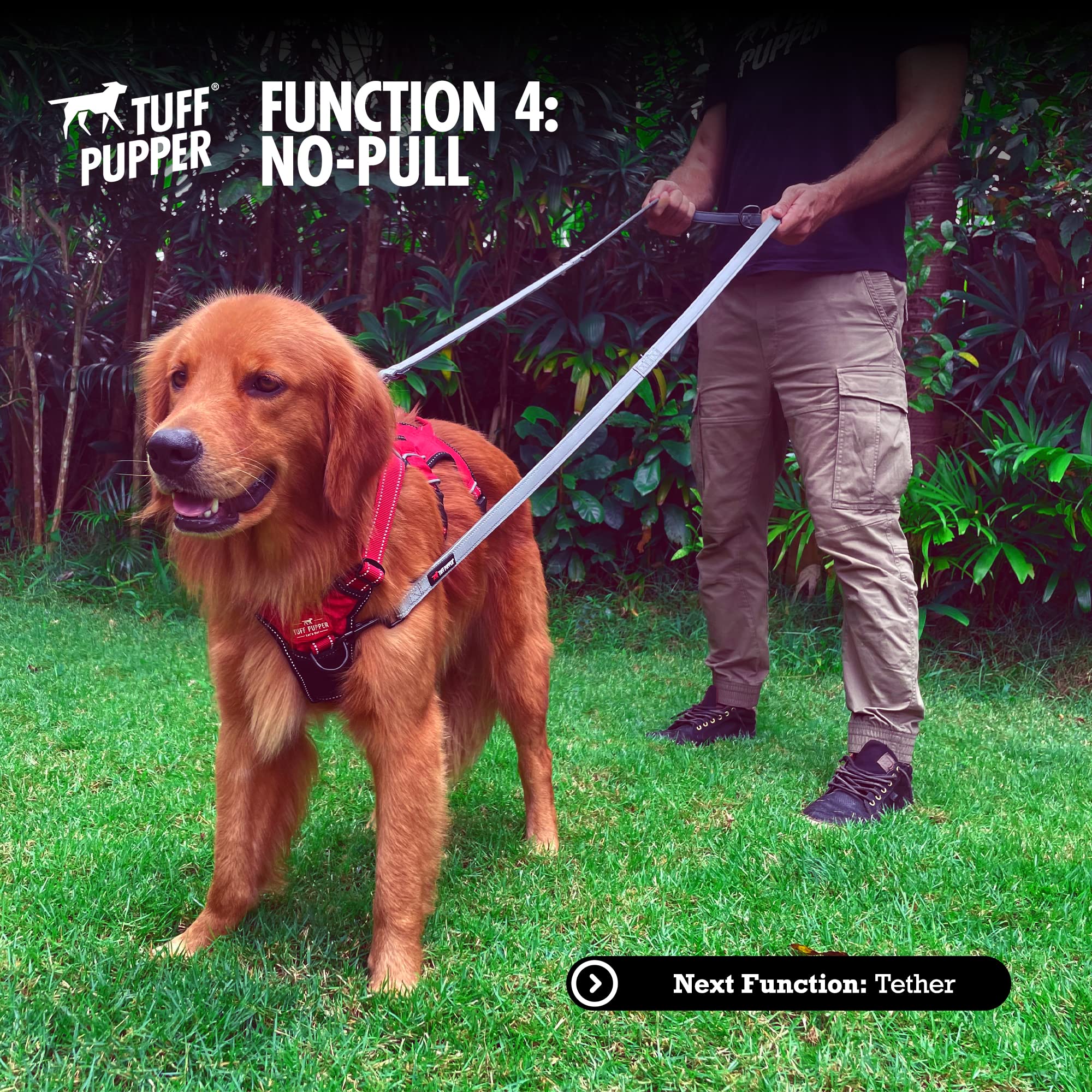 Tuff Pupper reflective stitching for safer night walks