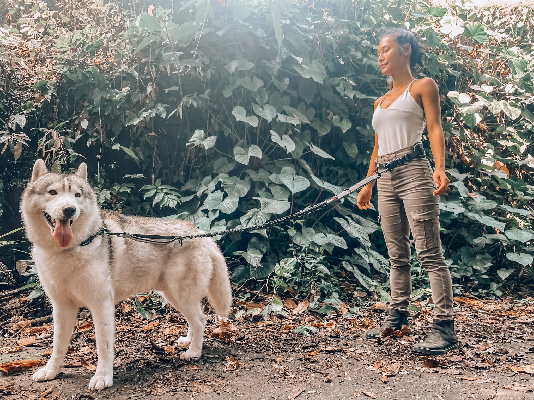 Tuff Pupper leash supports dogs up to 125 pounds for confident outings