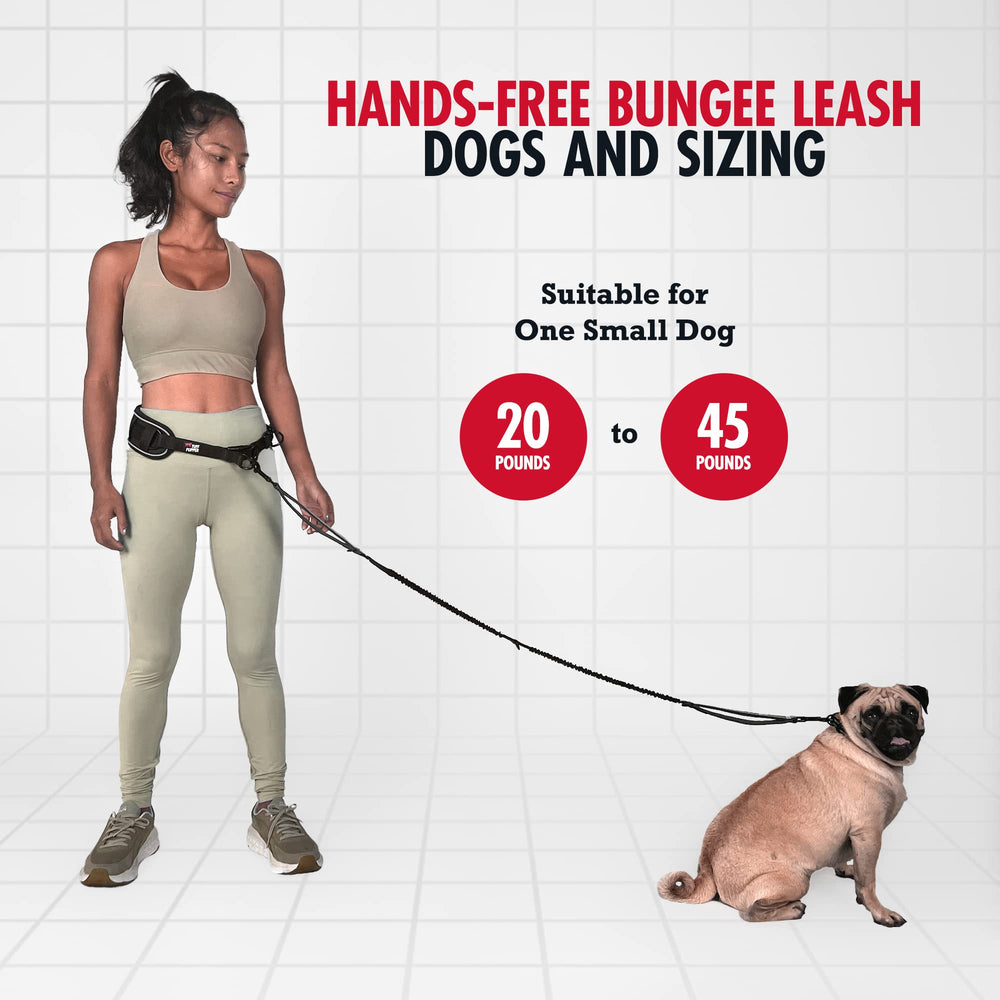 Close-up of Tuff Pupper leash showing dual bungee sections for absorption