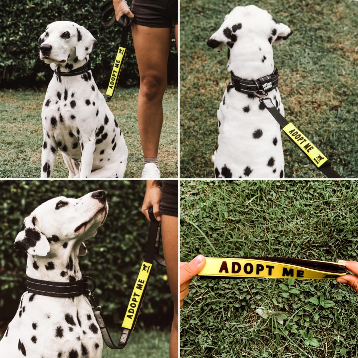 Tuff Pupper double-sided leash sleeve readable from both sides.