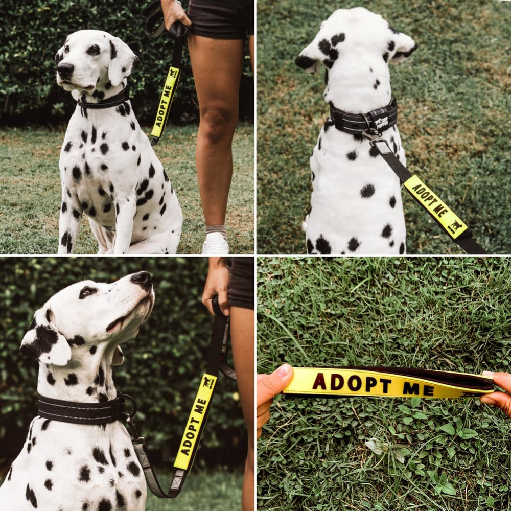 Tuff Pupper double-sided leash sleeve readable from both sides.