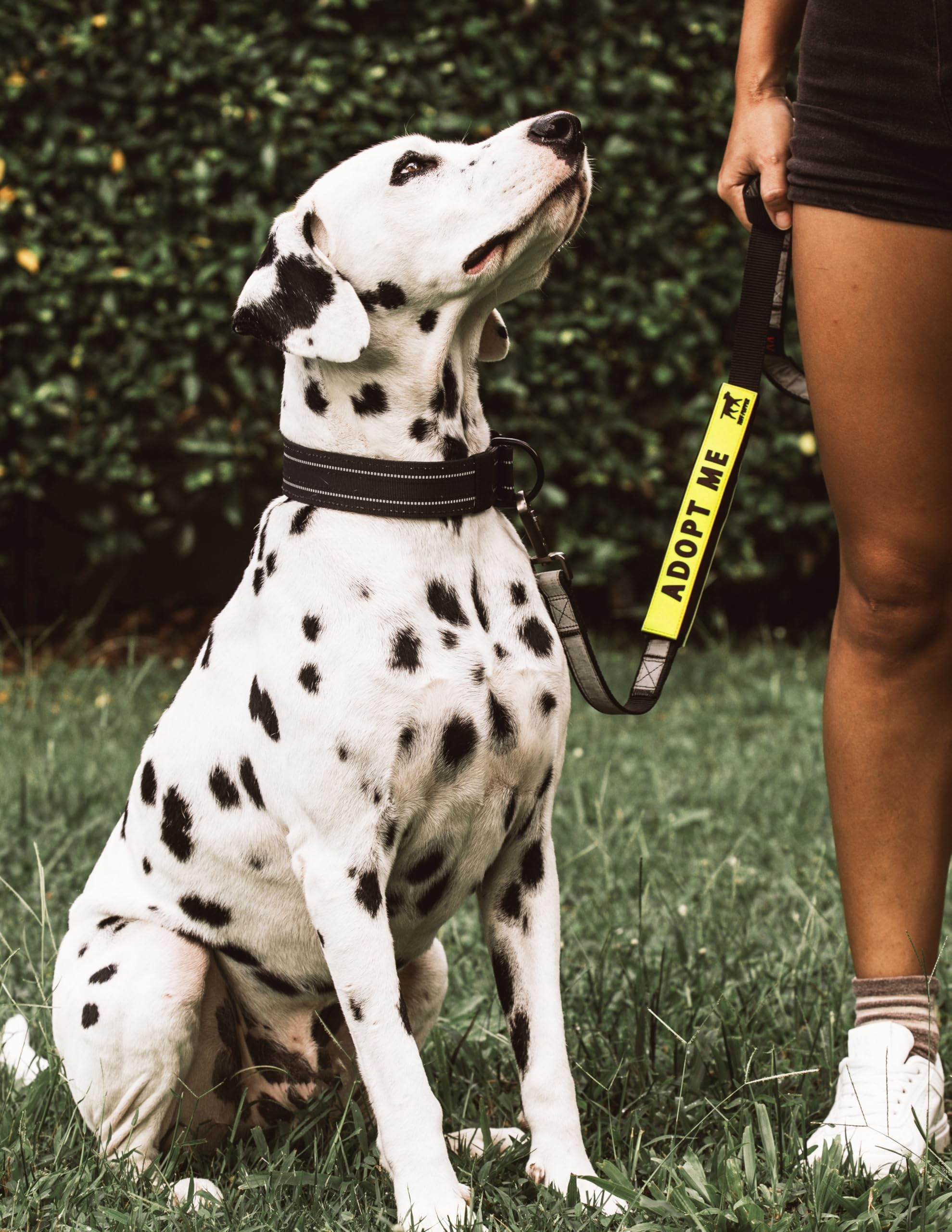 Tuff Pupper odor-proof neoprene leash sleeve stays fresh between uses.