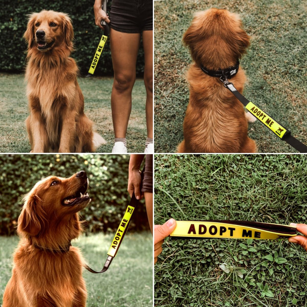 Tuff Pupper leash sleeve secure closure stays in place during walks.