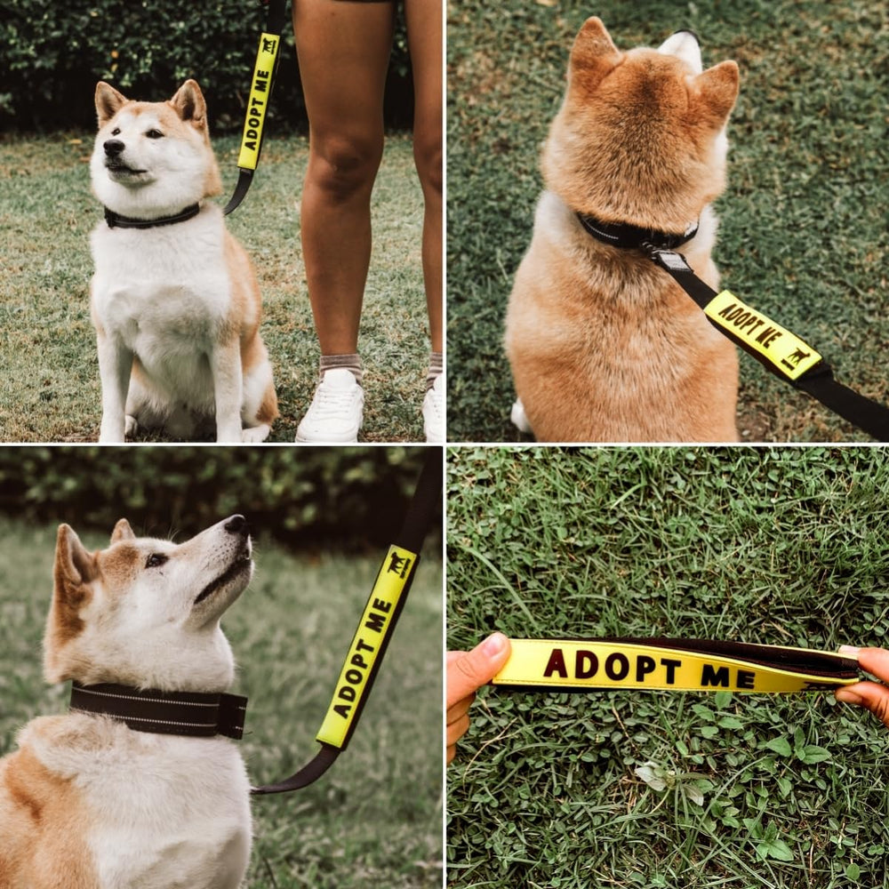 Tuff Pupper waterproof silicone leash sleeve resists rain and splashes.
