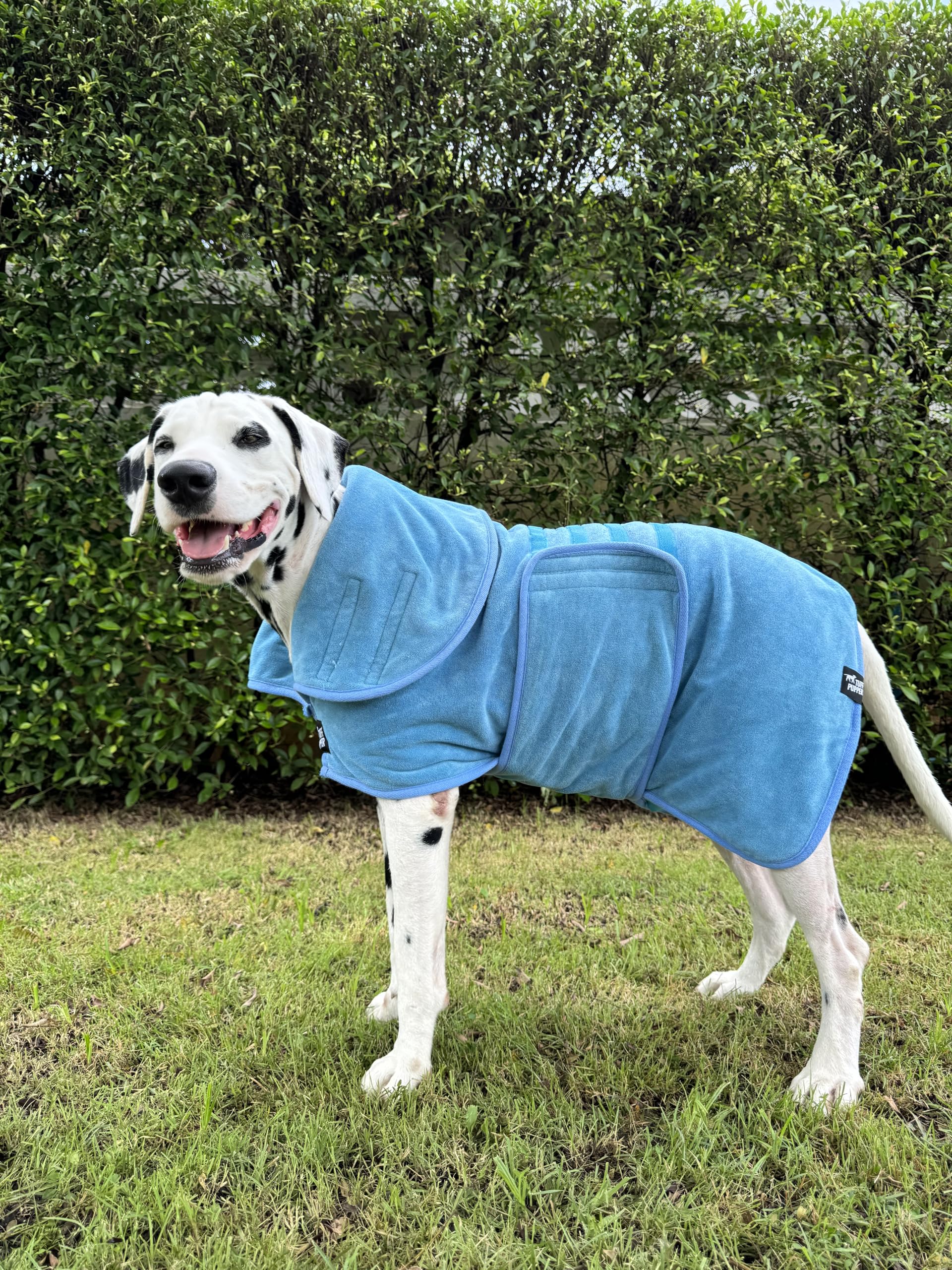 Tuff Pupper extra-long collar dries neck and ears efficiently
