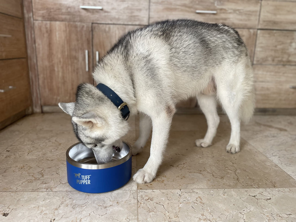 Tuff Pupper outdoor-durable bowl withstands weather and playtime