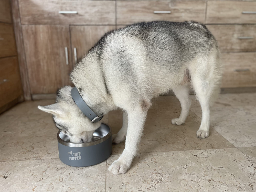 Tuff Pupper outdoor weather resistant dog bowl ready for outdoor feeding