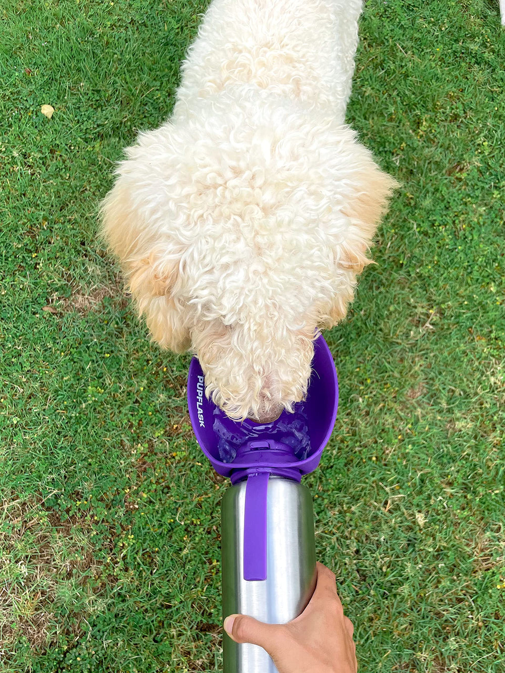 PupFlask easy-clean design enabling fast rinsing after outdoor use