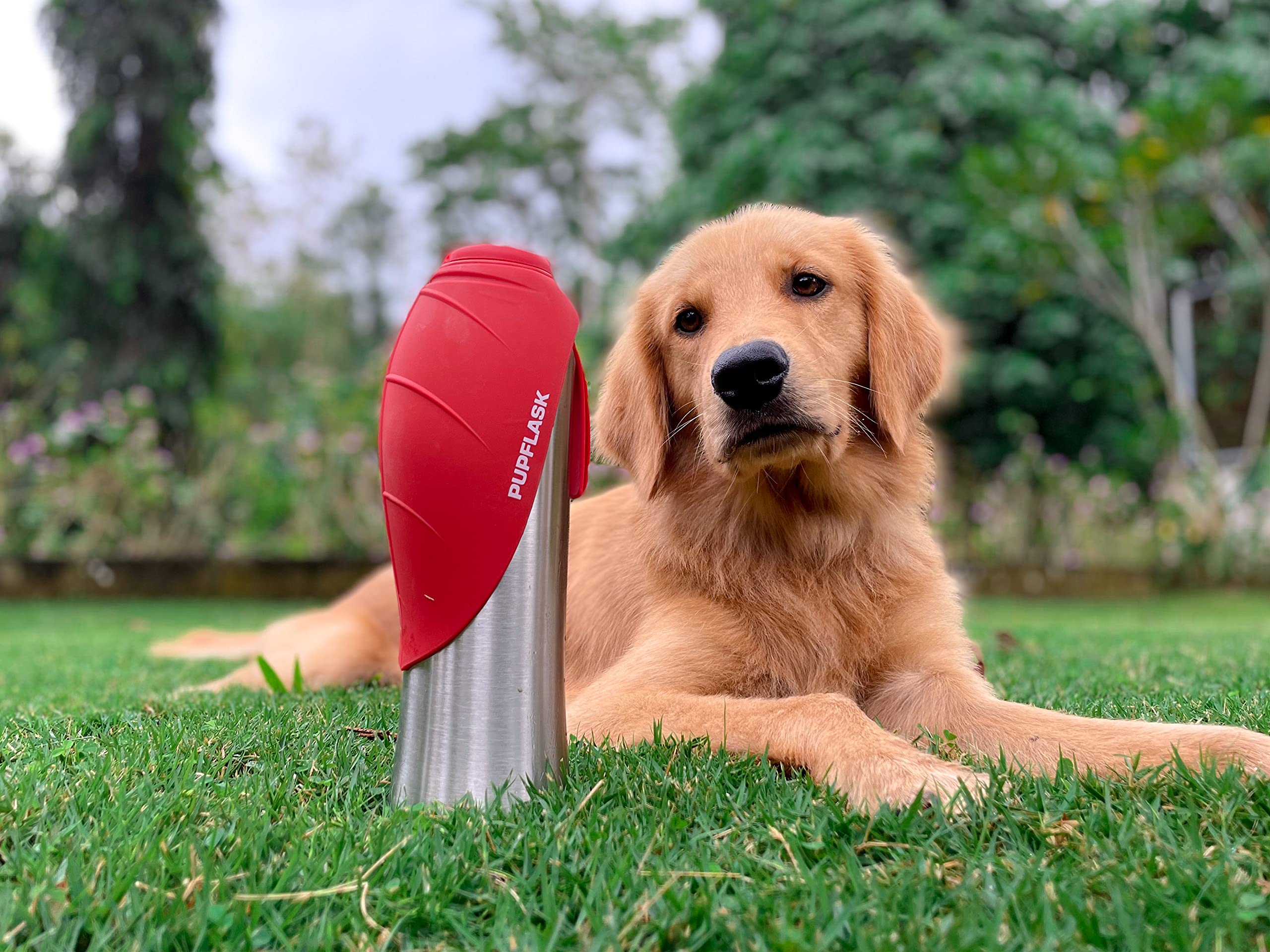 Tuff Pupper PupFlask supports convenient travel with water ready when needed.