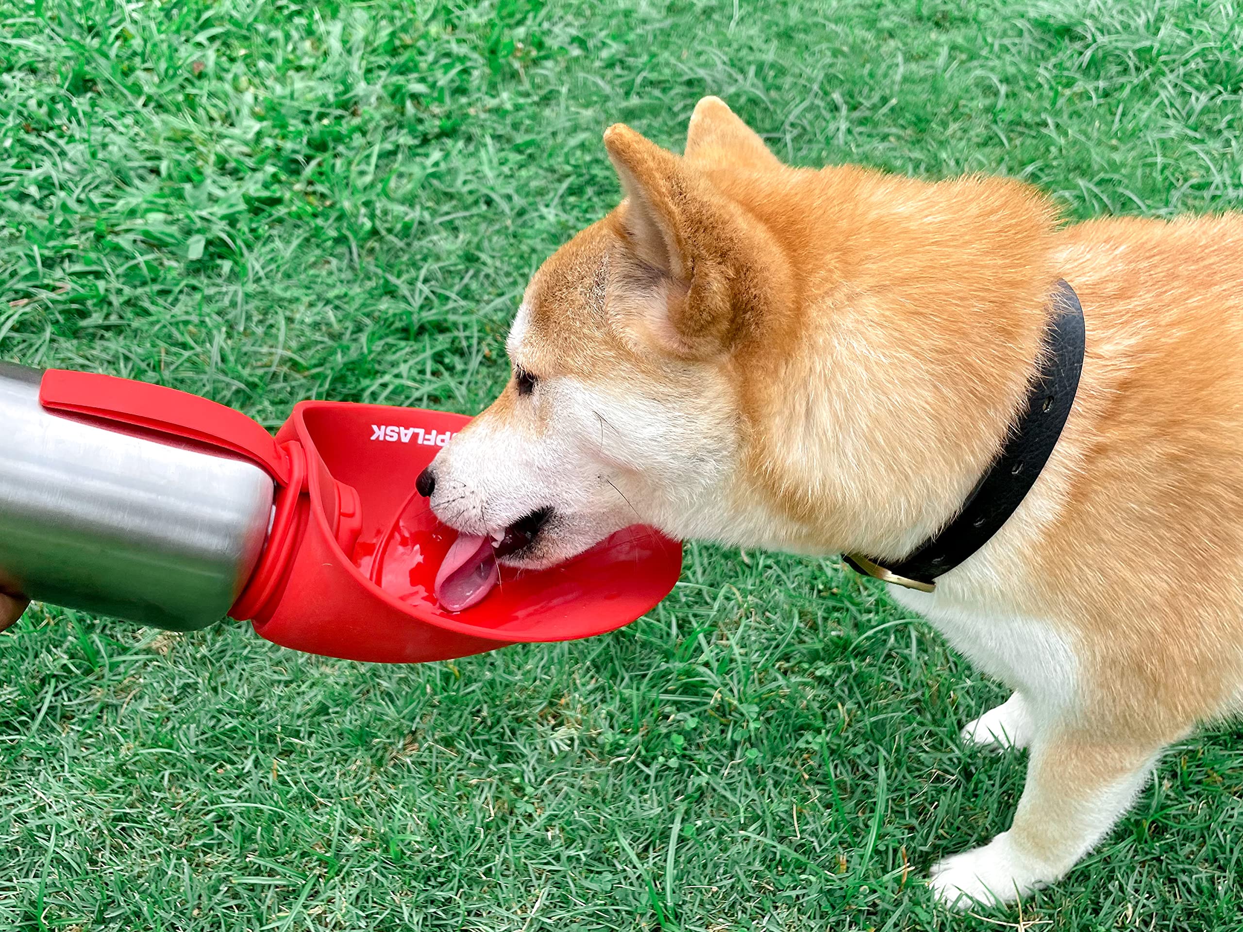 Tuff Pupper PupFlask leak-proof seal prevents spills.