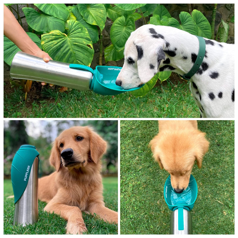 Food-grade silicone cup is odorless and safe for pets during adventures.