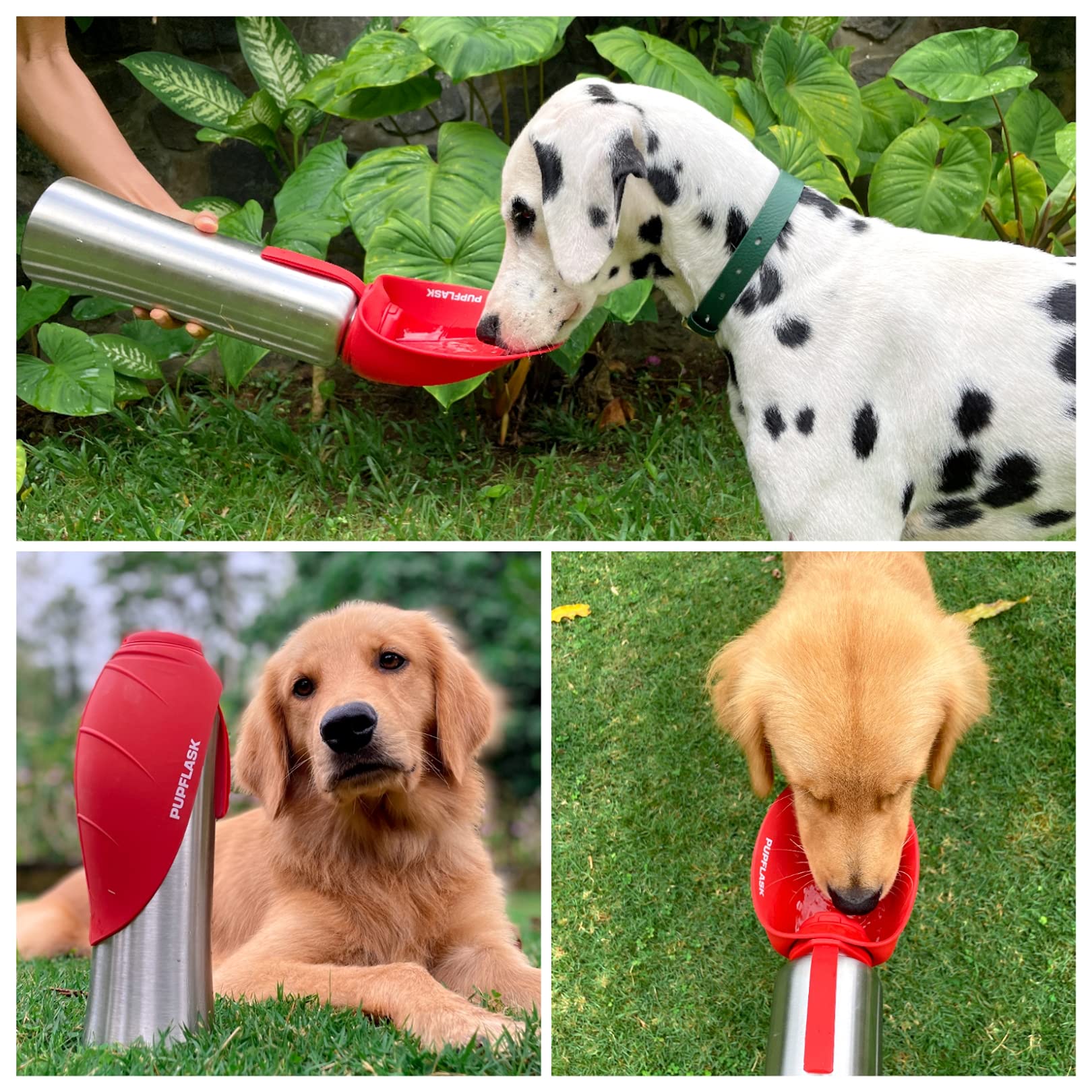 Tuff Pupper PupFlask odorless silicone cup avoids lingering smells after use.