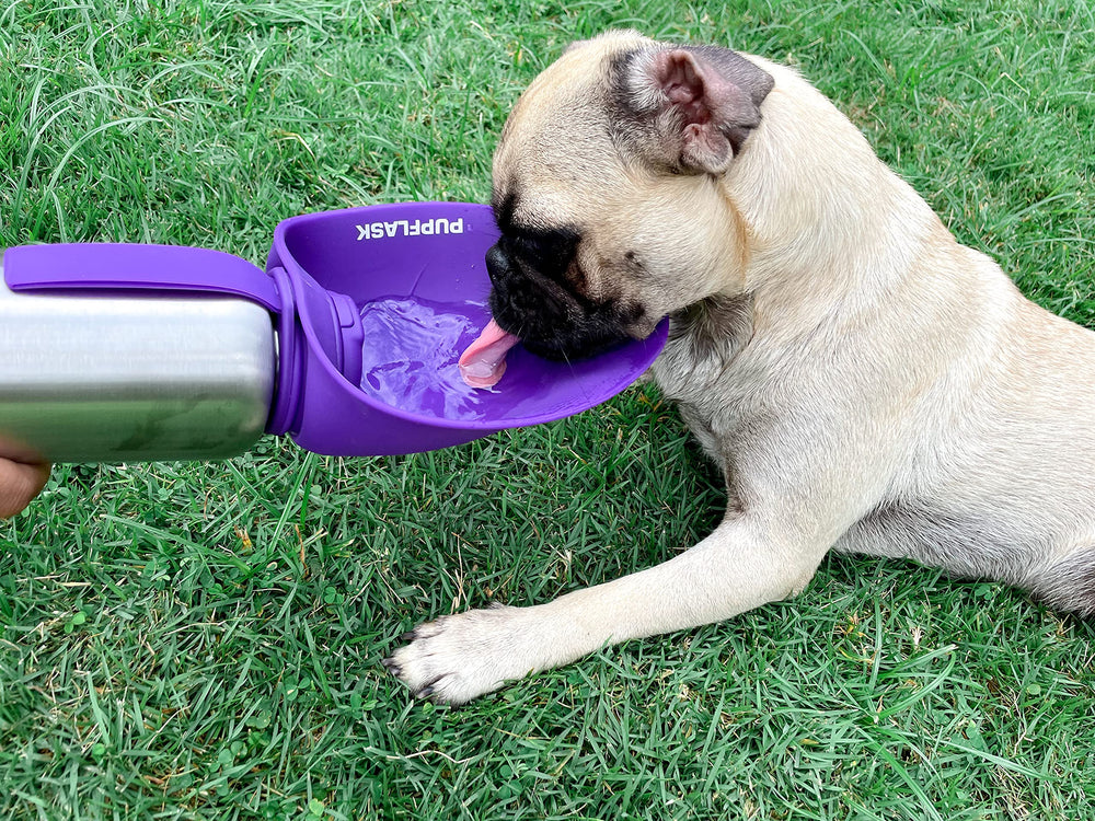 Tuff Pupper PupFlask odorless silicone stays fresh after use.