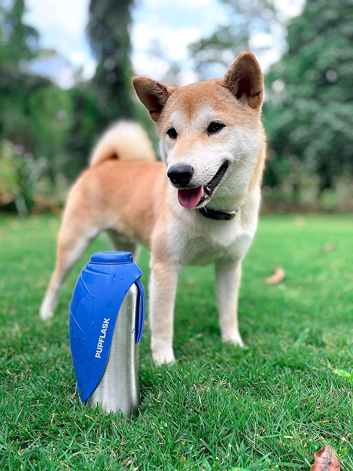 PupFlask clipped to bag for portable hydration across breeds