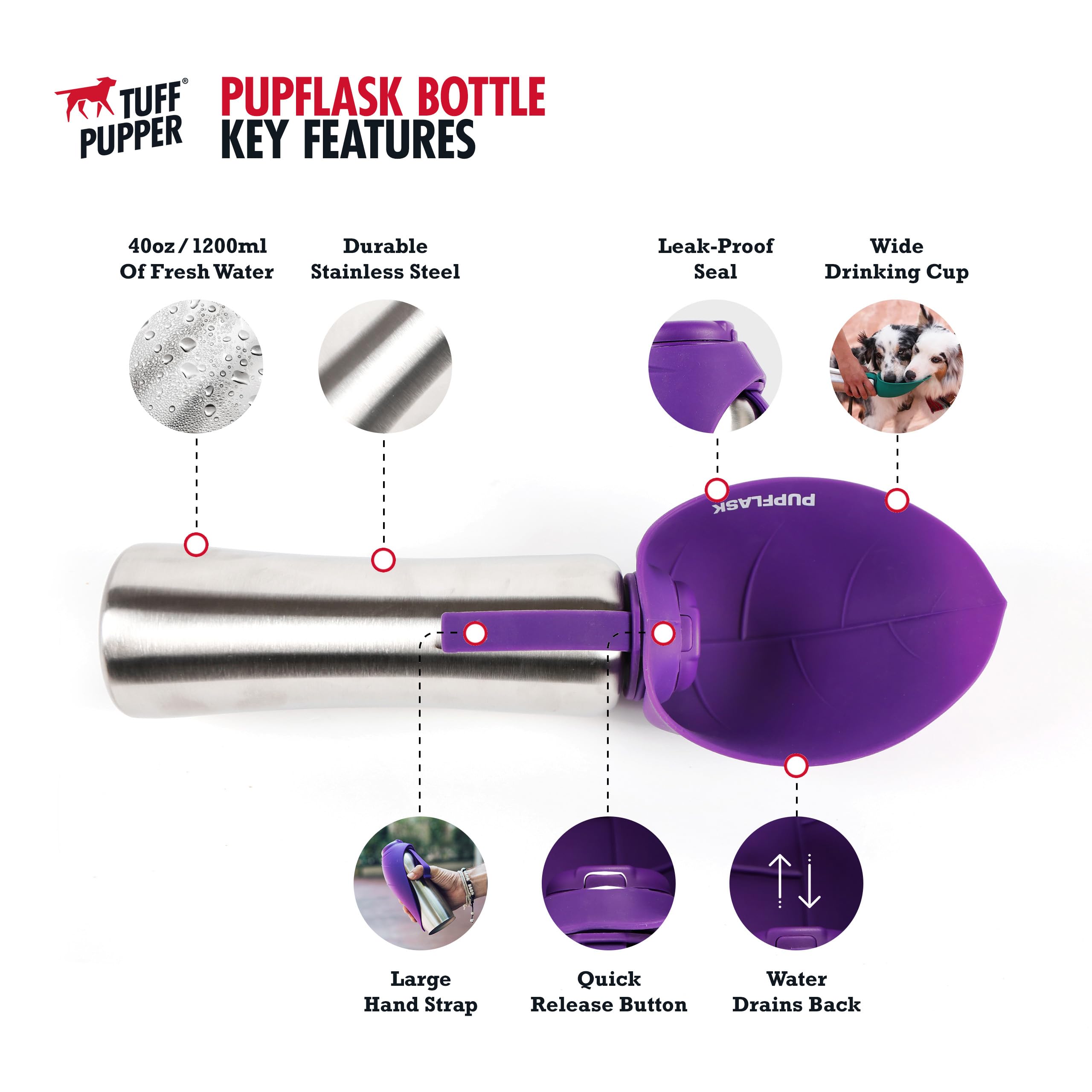 PupFlask silicone cup folded for compact, mess-free storage
