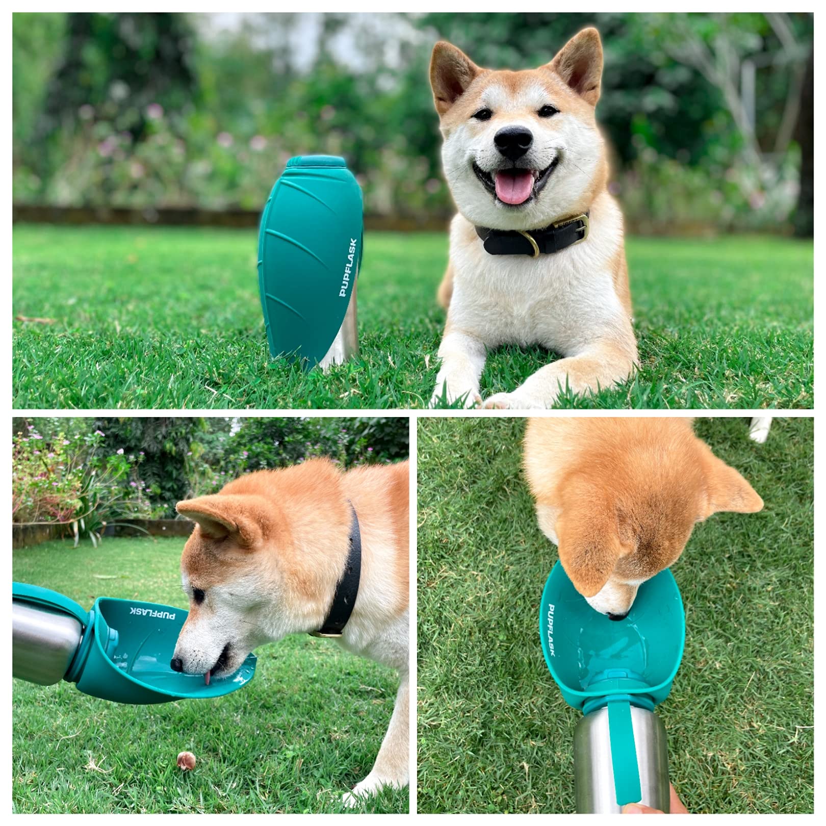 Tuff Pupper PupFlask stainless-steel body withstands daily adventures.