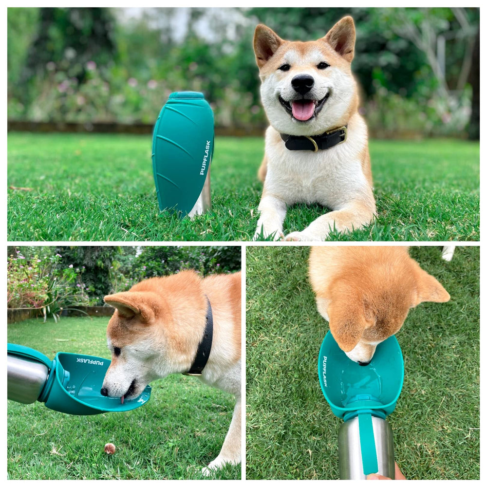 Tuff Pupper PupFlask stainless-steel body withstands daily adventures.