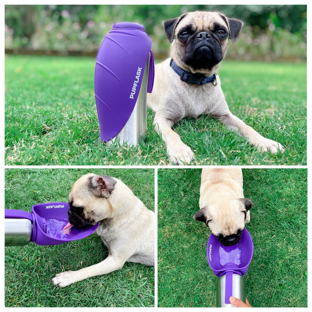 Tuff Pupper PupFlask stainless steel body showing durable construction.
