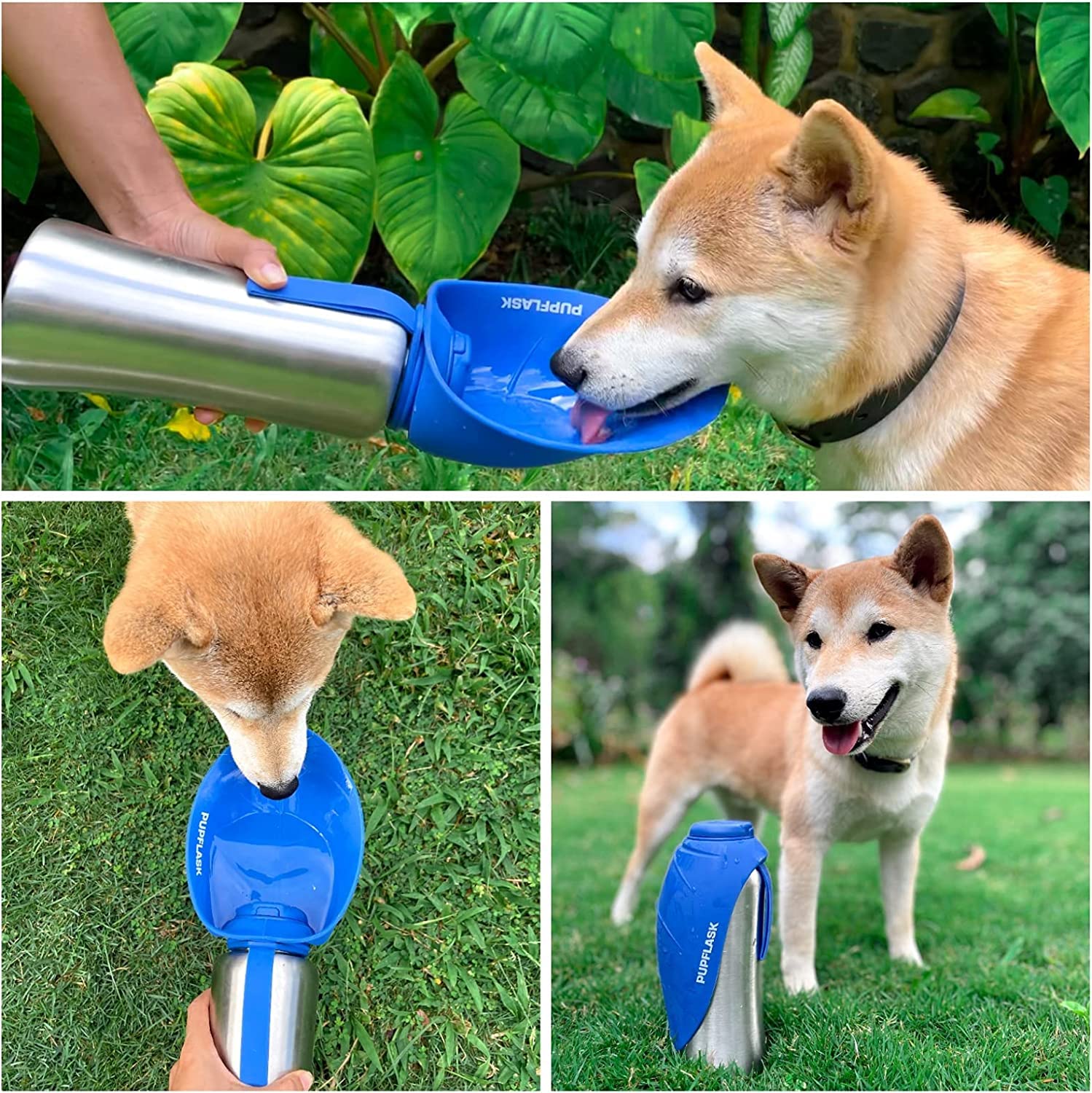 PupFlask sits on a backpack for convenient travel hydration