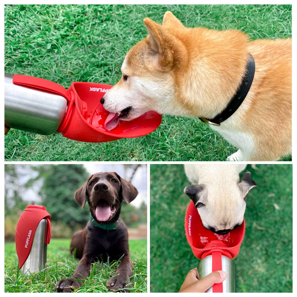 Tuff Pupper PupFlask travel usage with dogs.
