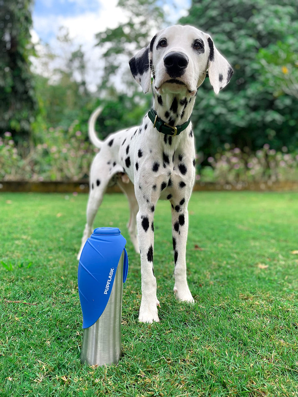 Ideal for all breeds thanks to versatile size options.