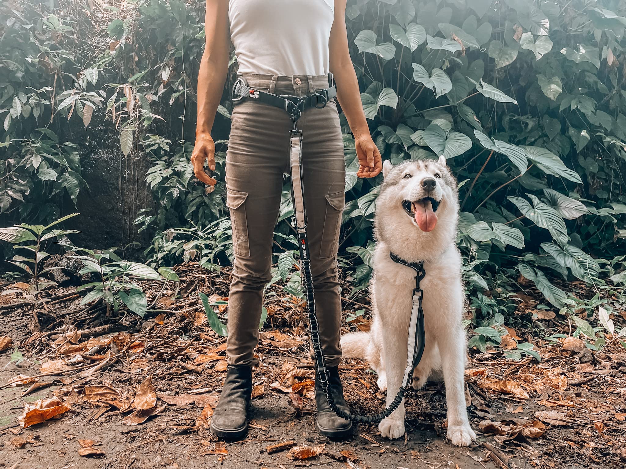 Tuff Pupper belt piping reflects light for safer evening walks