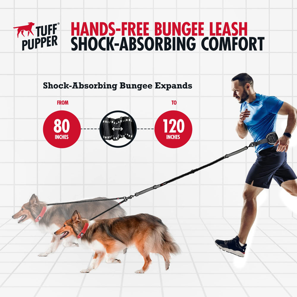 Tuff Pupper reflective stitching boosts nighttime visibility during walks.