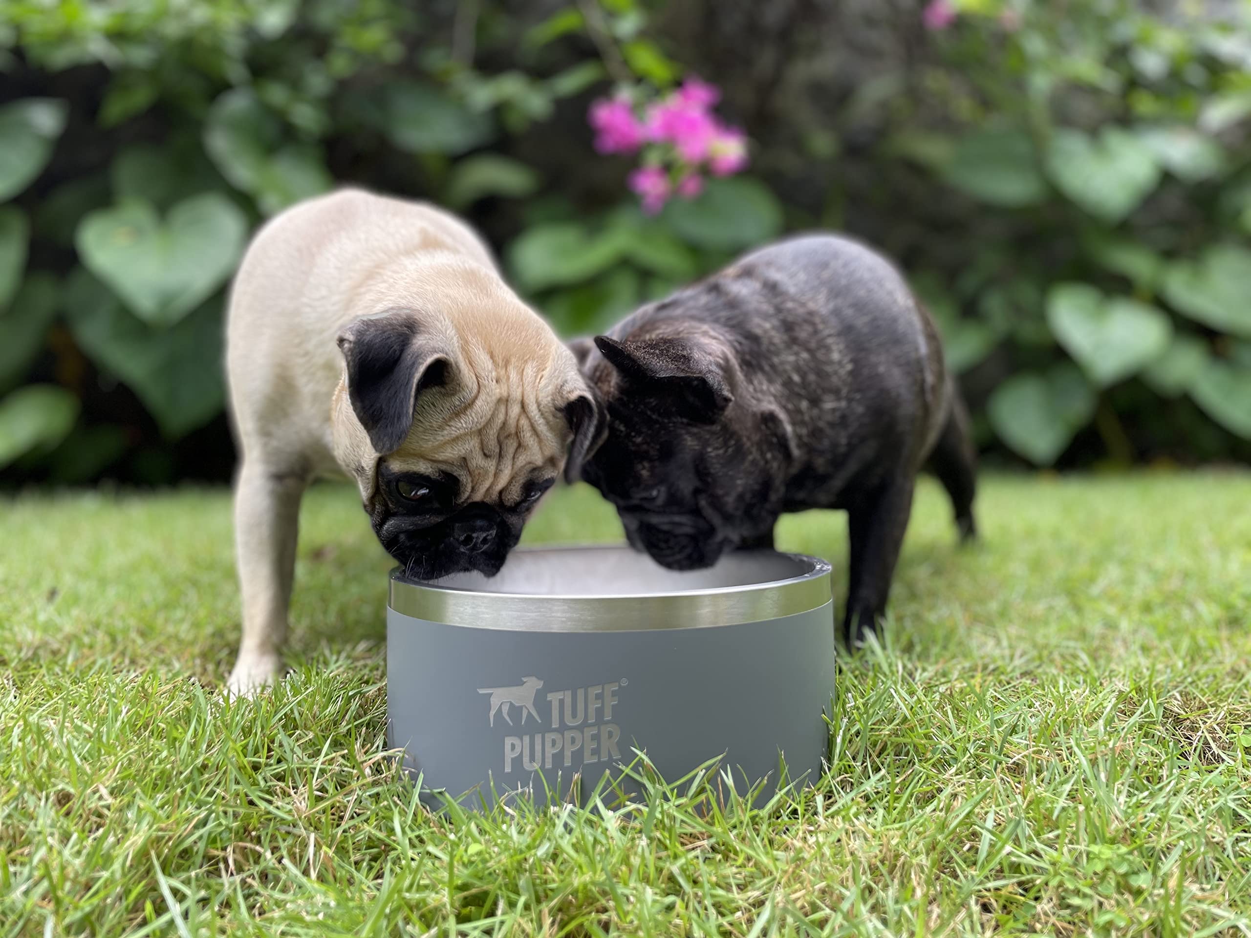 Tuff Pupper seven color options add style and practicality to any space