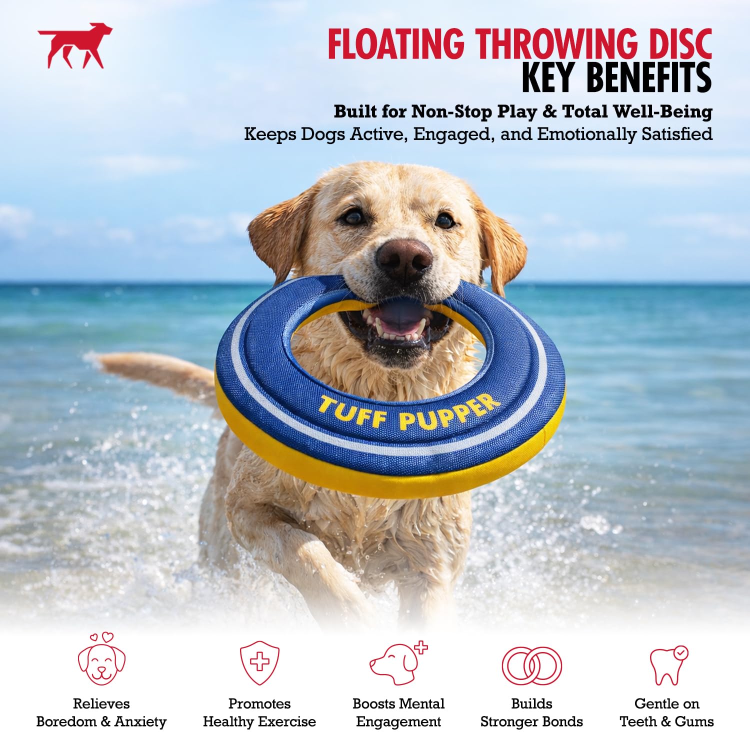Tuff Pupper soft-foam rim frisbee, gentle on teeth.
