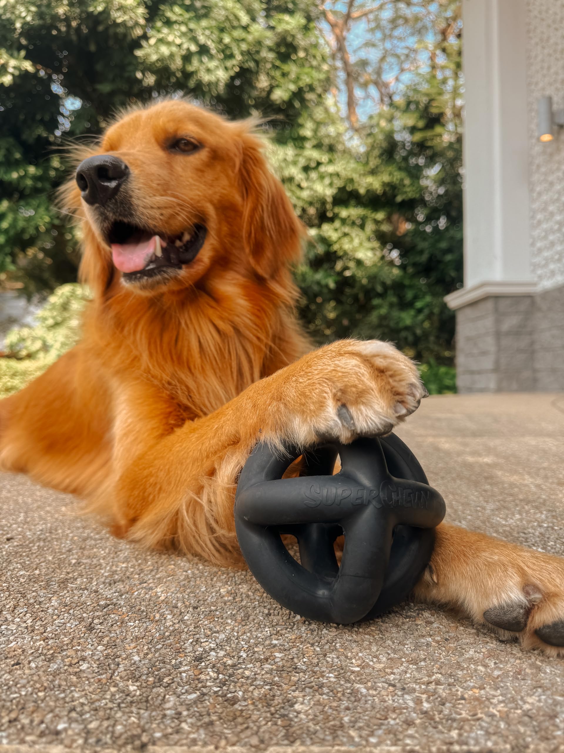 Tuff Pupper cage ball close-up highlights safe natural rubber material.