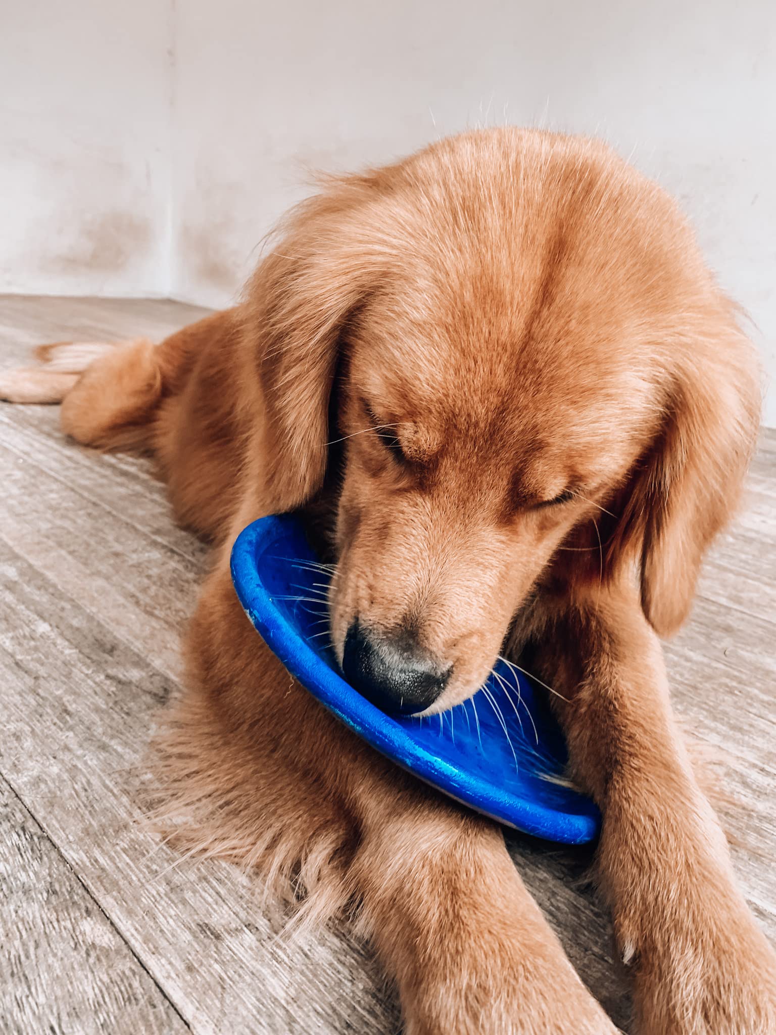 Tuff Pupper SuperChewer disc ready for easy cleaning with soap and water.