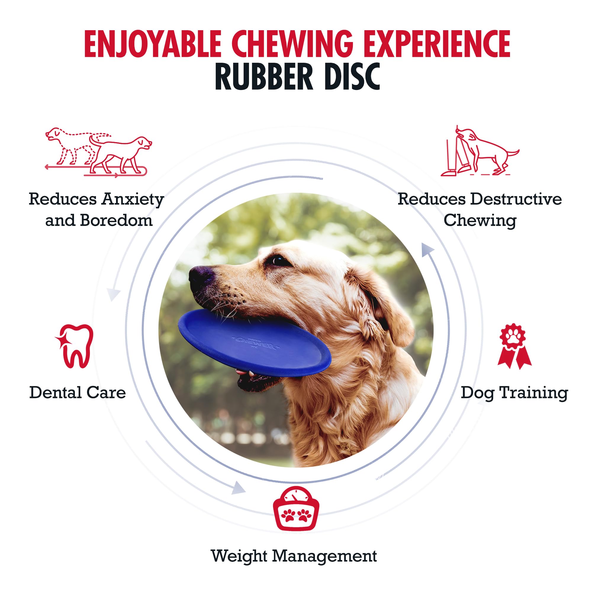Tuff Pupper SuperChewer flying-disc in action during a high-energy fetch.
