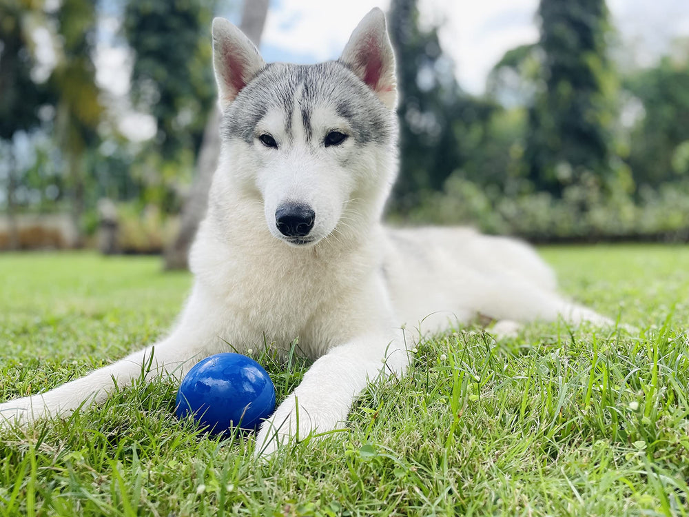 Tuff Pupper durable chew toy designed for large breed chewers.