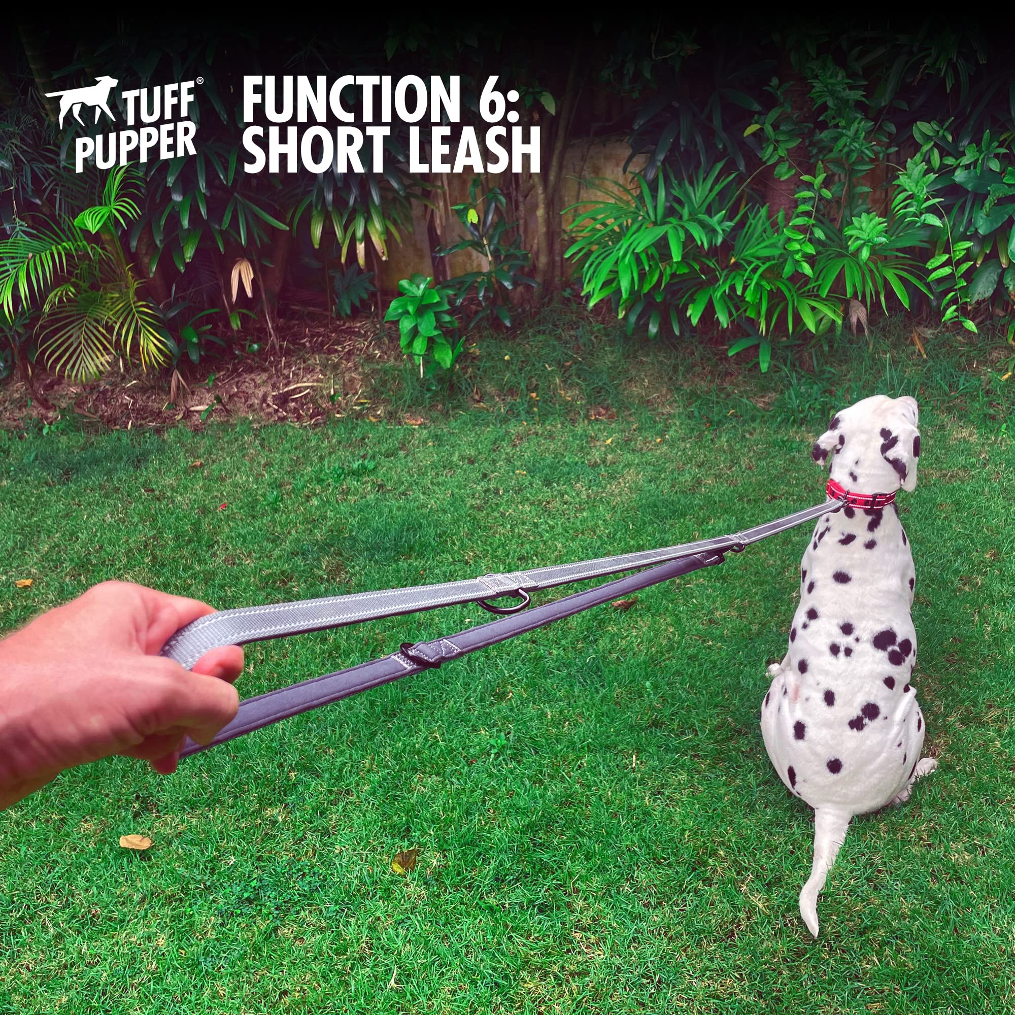 Tuff Pupper leash tether to tree for versatile use