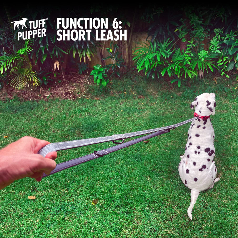Tuff Pupper leash tether to tree for versatile use