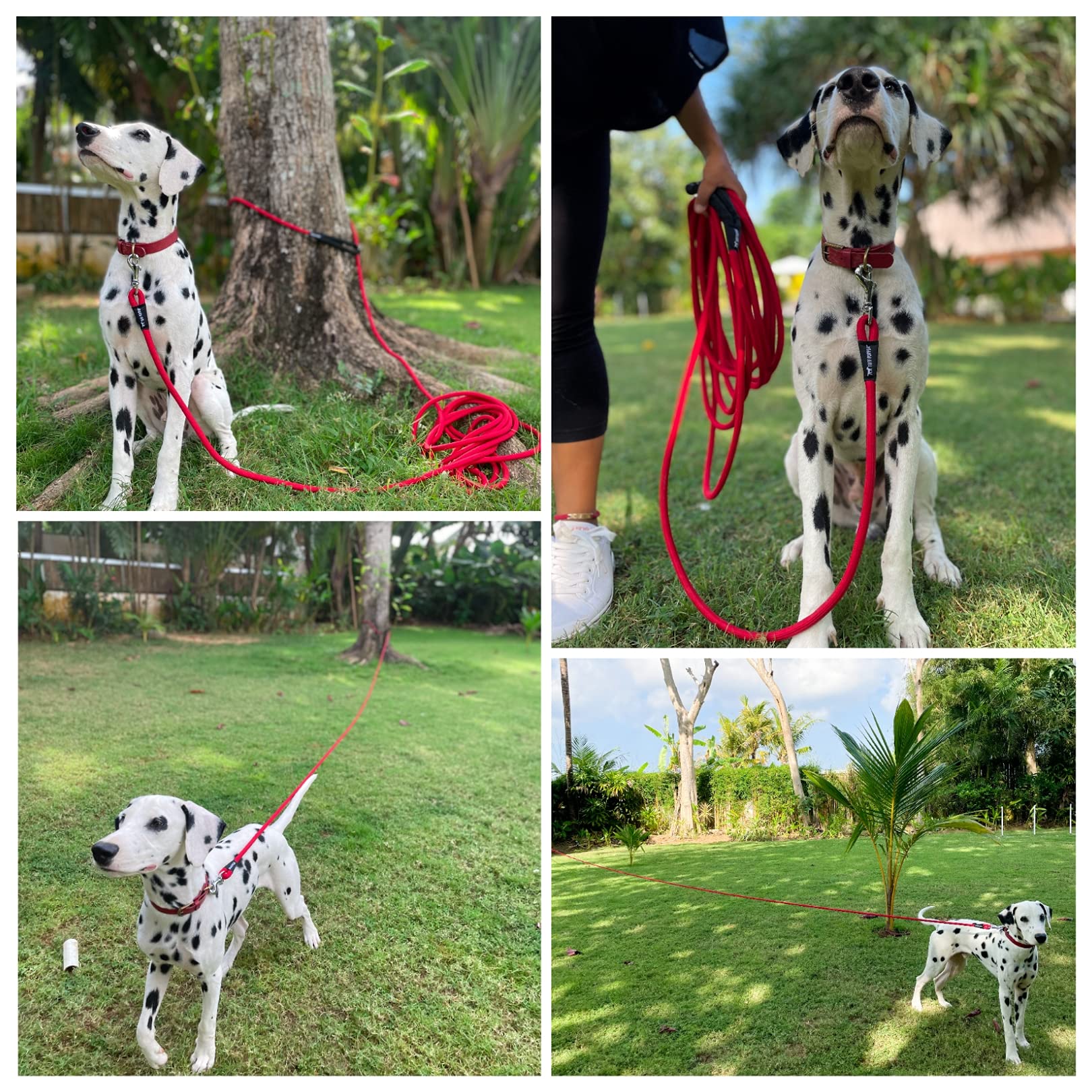 Tuff Pupper training use showcasing line-of-sight recall in action
