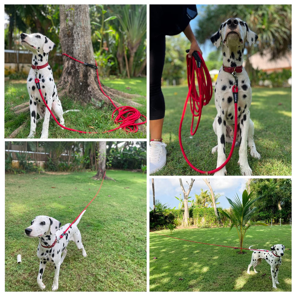 Tuff Pupper training use showcasing line-of-sight recall in action