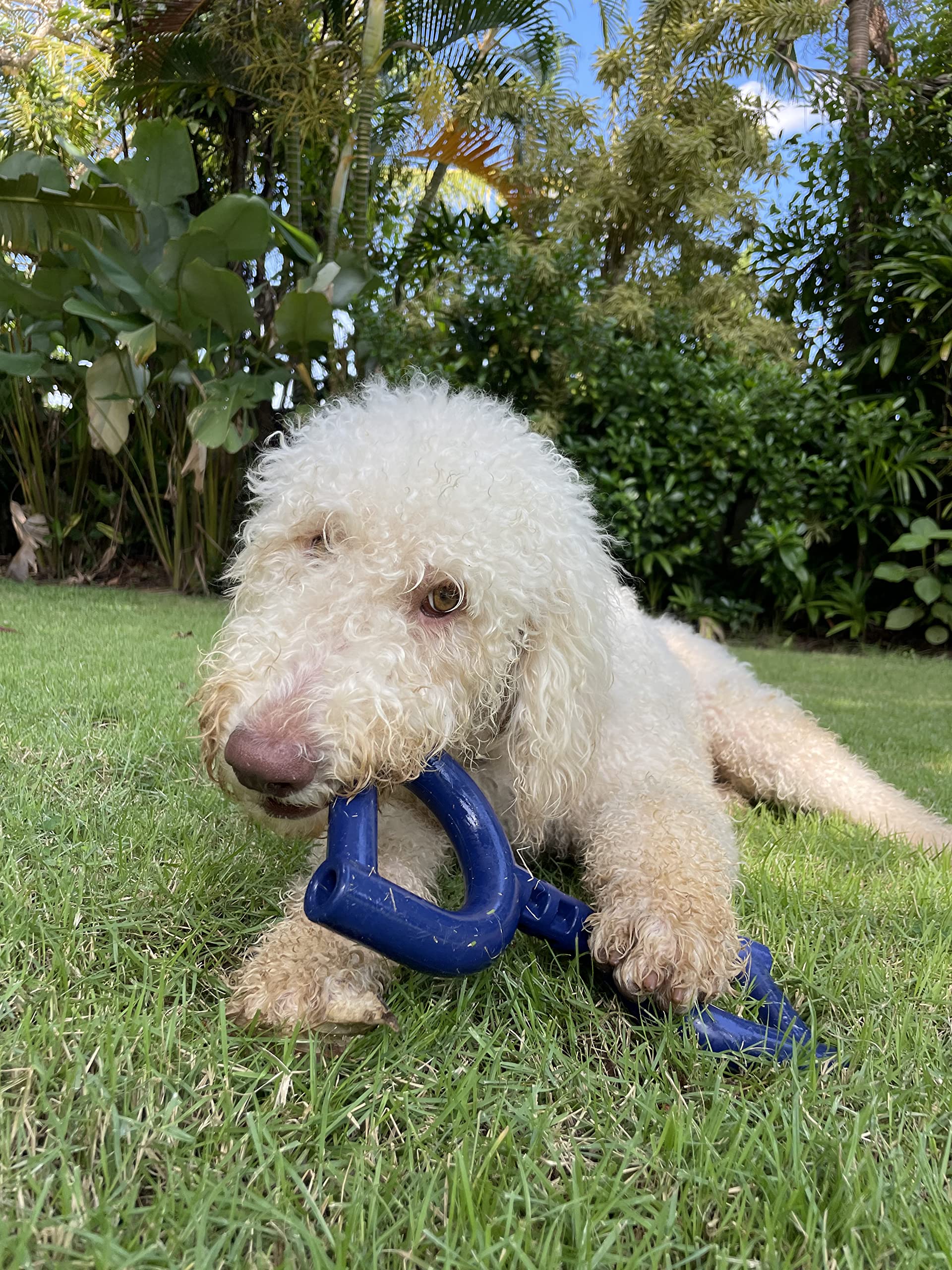 Tuff Pupper tug toy promotes bonding during playtime