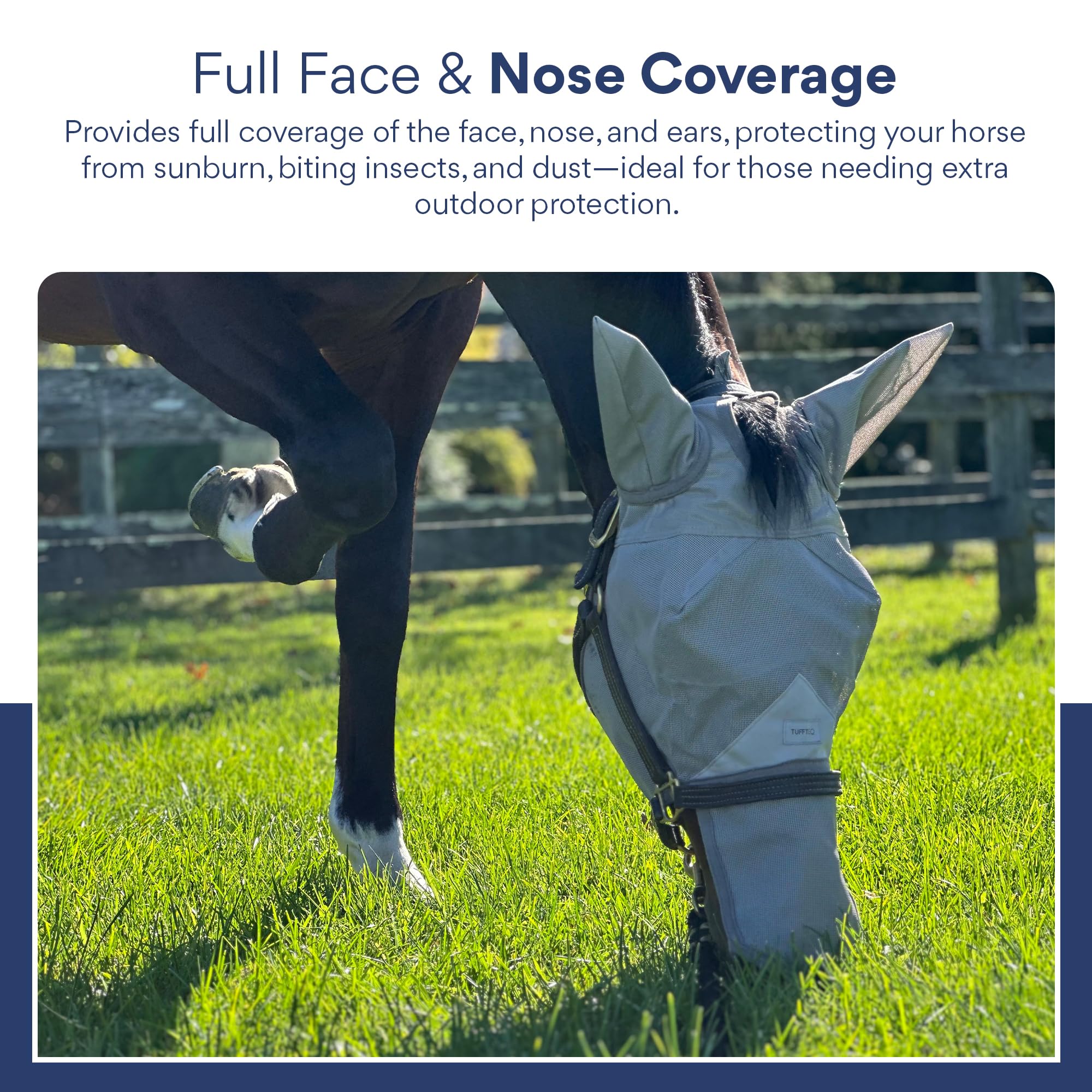 TUFFTEQ horse fly mask trail-use offers insect protection on paths.