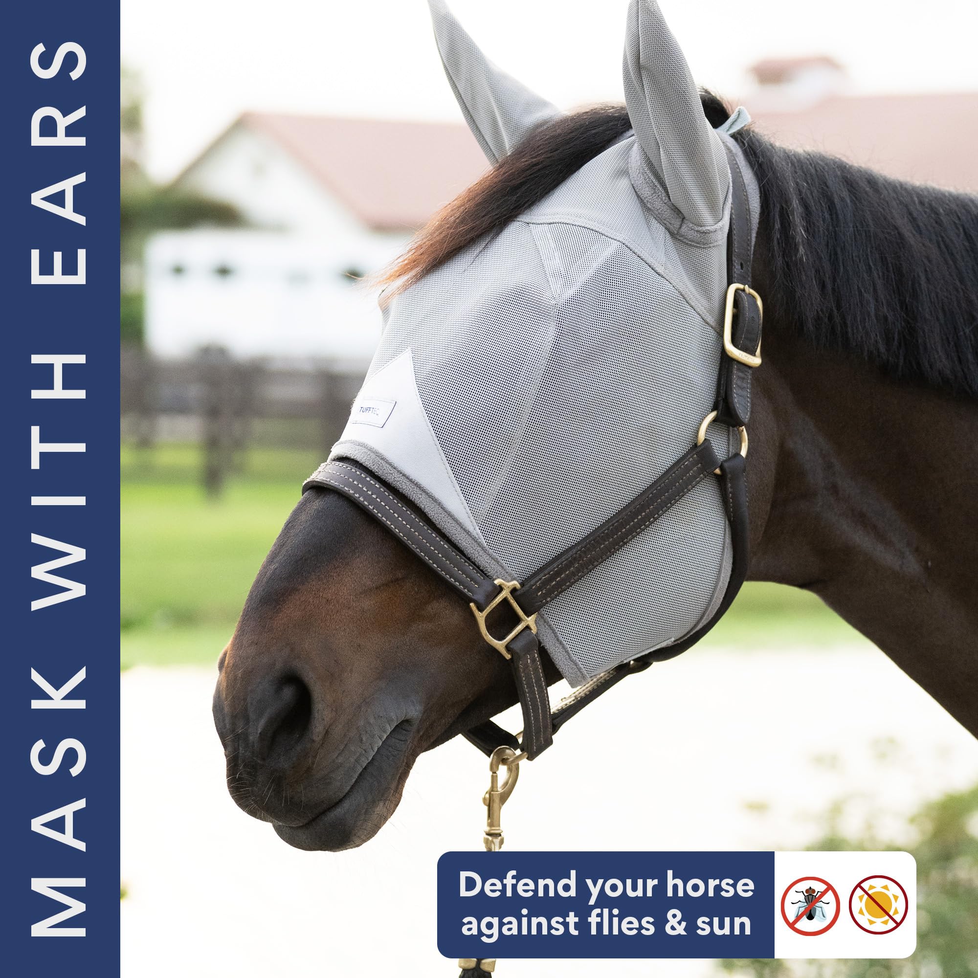 TUFFTEQ UV eye protection keeps horse eyes safe in bright conditions