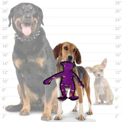 Tuffy Zoo Junior Monkey stitch detail highlights durability.